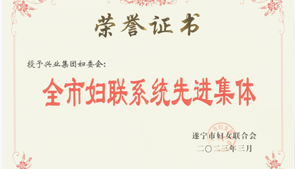 喜報！興業(yè)集團(tuán)婦委會榮獲“全市婦聯(lián)系統(tǒng)先進(jìn)集體”榮譽(yù)稱號