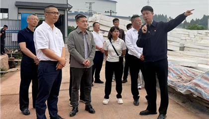 興業(yè)集團(tuán)黨委開(kāi)展“黨建引領(lǐng)聚合力 攻堅(jiān)克難顯擔(dān)當(dāng)”主題黨日暨現(xiàn)場(chǎng)教學(xué)活動(dòng)